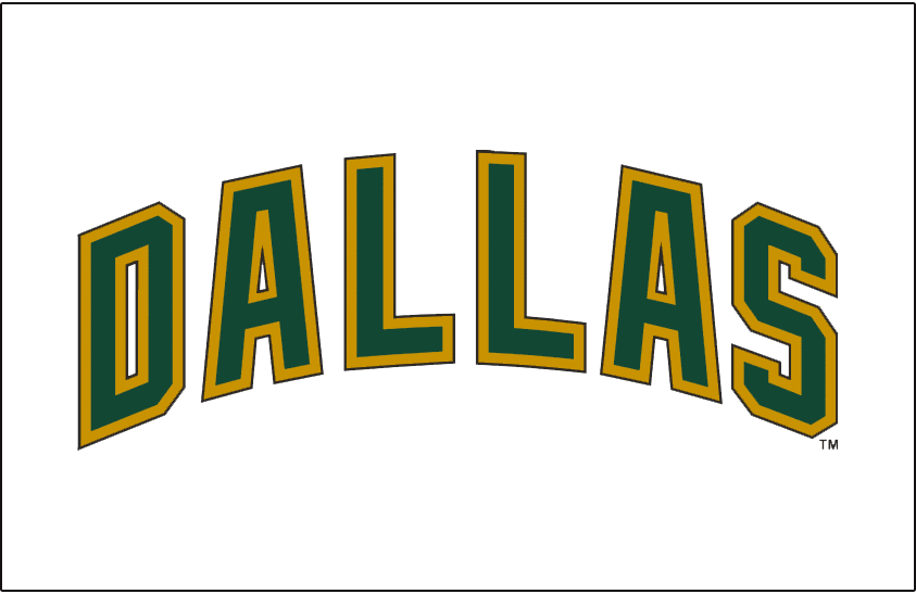 Dallas Stars 2008-2013 Jersey Logo t shirts iron on transfers